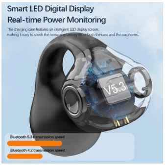 CW10 Wireless Earbuds