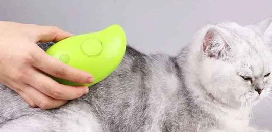 Pet Brush (GOLD)